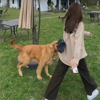 爱是永恒承诺